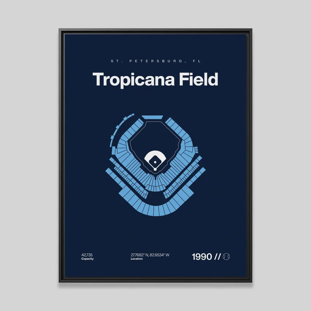 Tampa Bay Baseball Stadium Bold