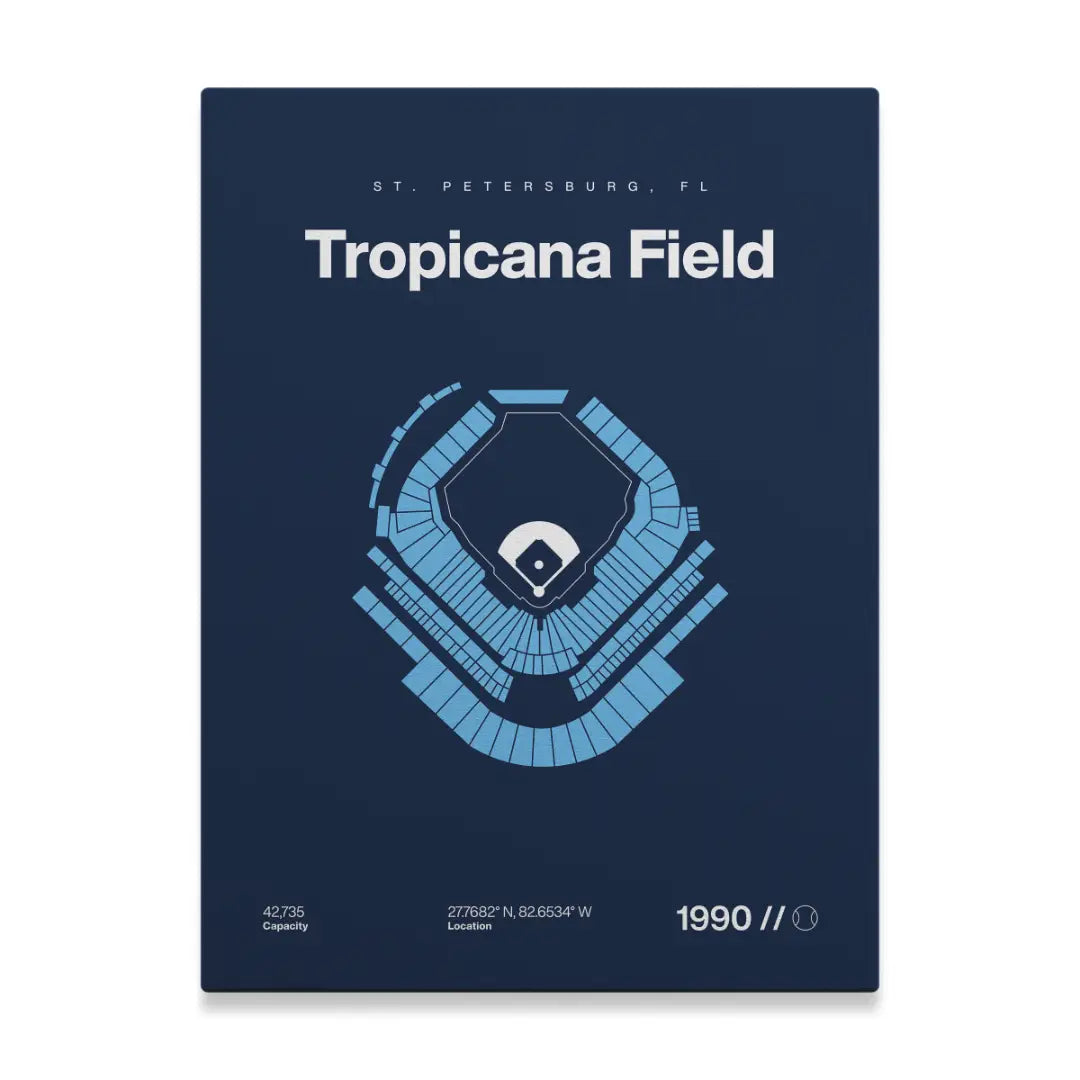 Tampa Bay Baseball Stadium Bold