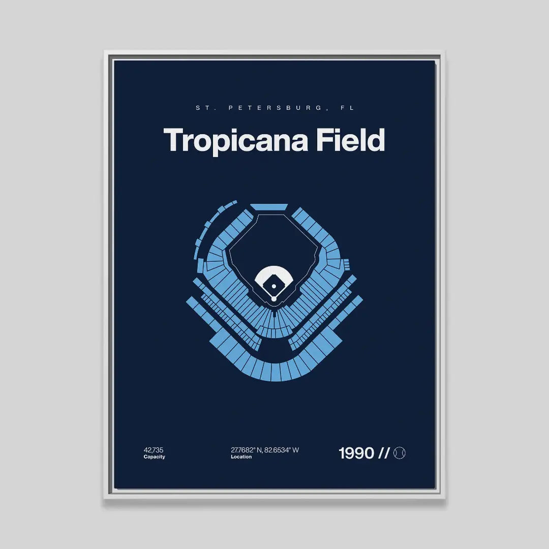 Tampa Bay Baseball Stadium Bold
