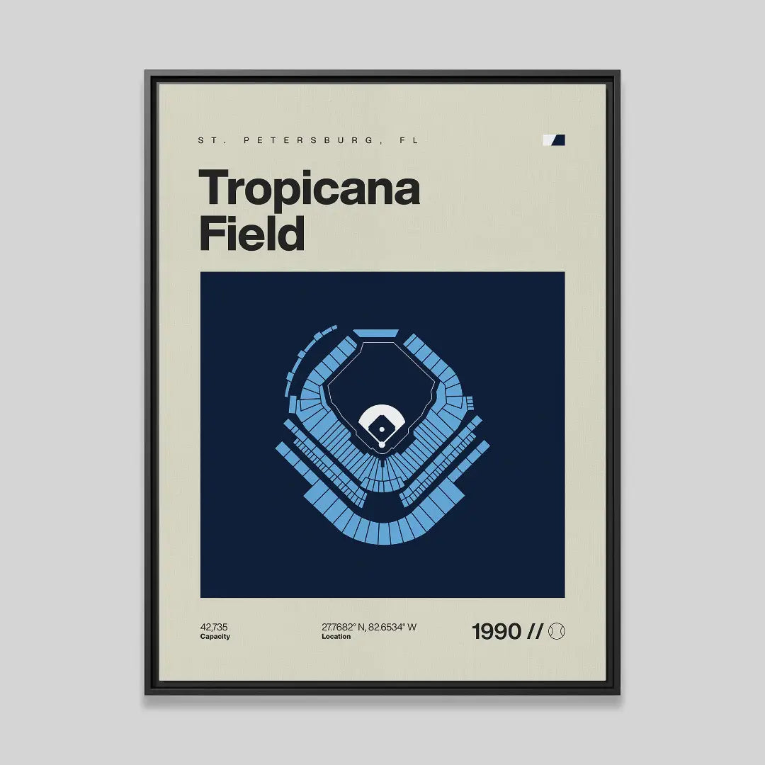 Tampa Bay Baseball Stadium