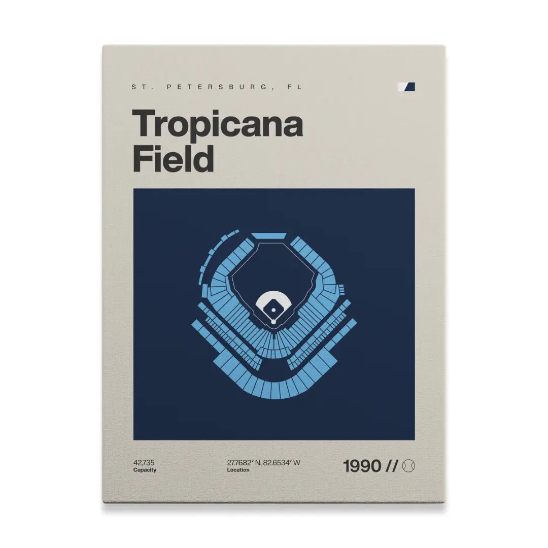 Tampa Bay Baseball Stadium