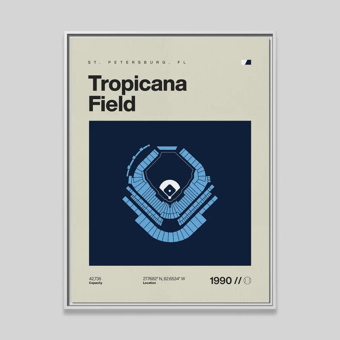 Tampa Bay Baseball Stadium