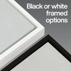 Arizona Baseball Stadium