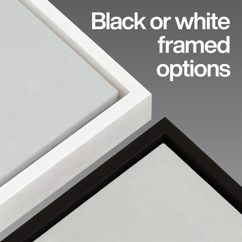 Arizona Baseball Stadium